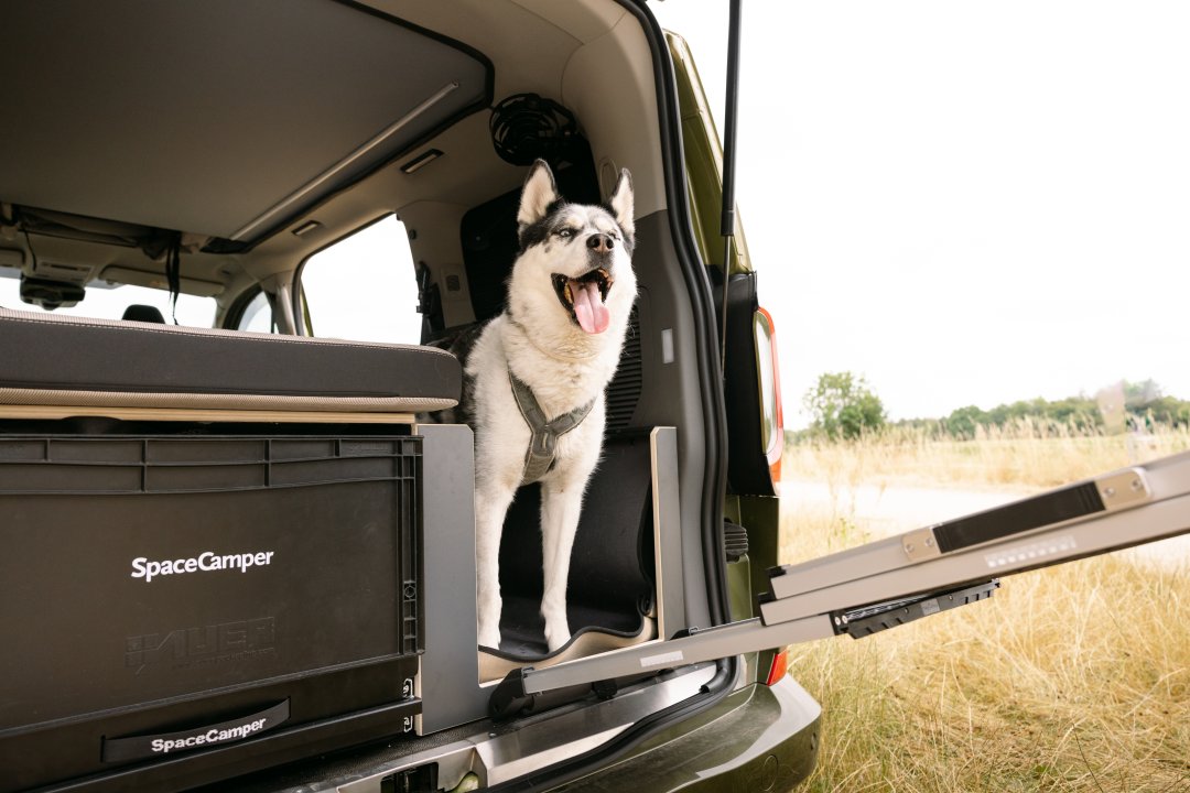 Ausschnitt in der Liegefl&auml;che f&uuml;r die Hundebox im SpaceCamper Classic+ Dog