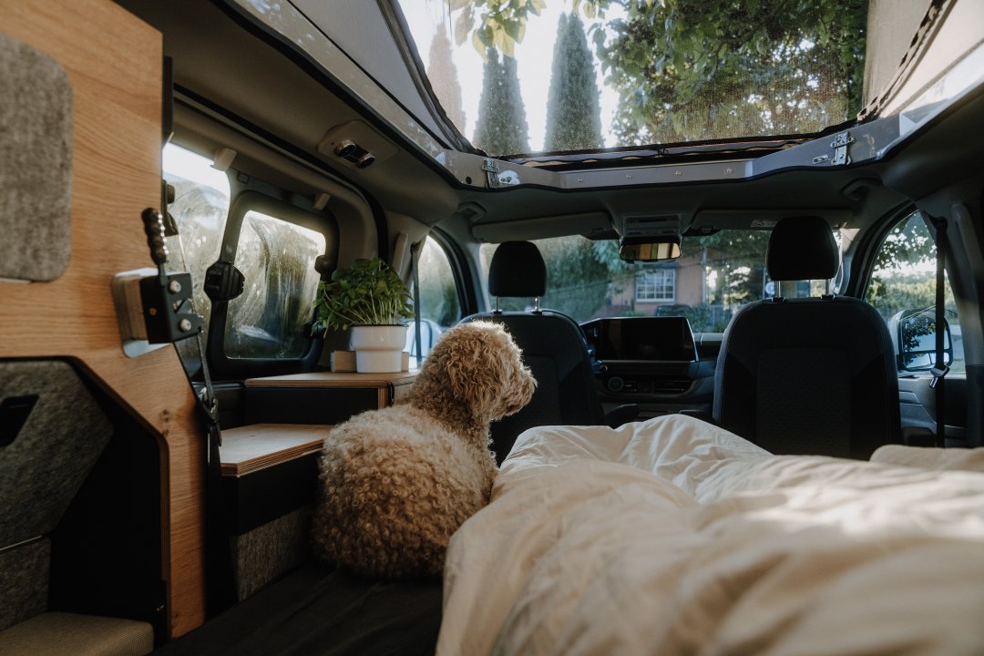 Classic+ VW Caravelle mit ge&ouml;ffnetem Aufstelldach und gro&szlig;em Moskitonetz